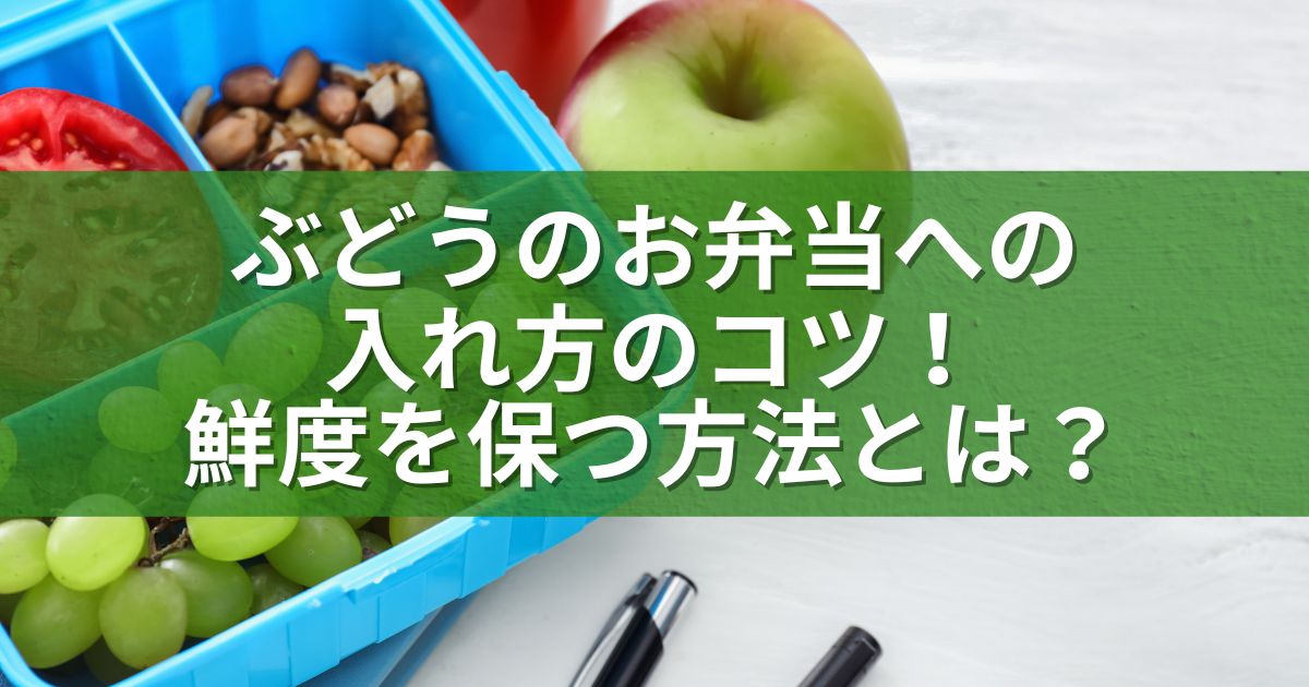 ぶどうのお弁当への入れ方のコツ！鮮度を保つ方法とは？