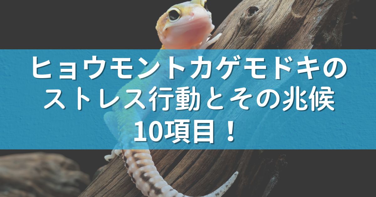 ヒョウモントカゲモドキのストレス行動とその兆候：10項目！