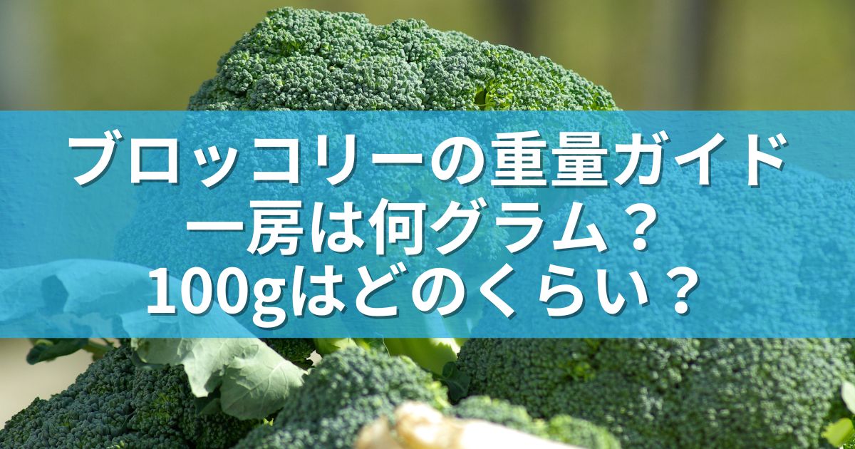 ブロッコリーの重量ガイド：一房は何グラム？100gはどのくらい？