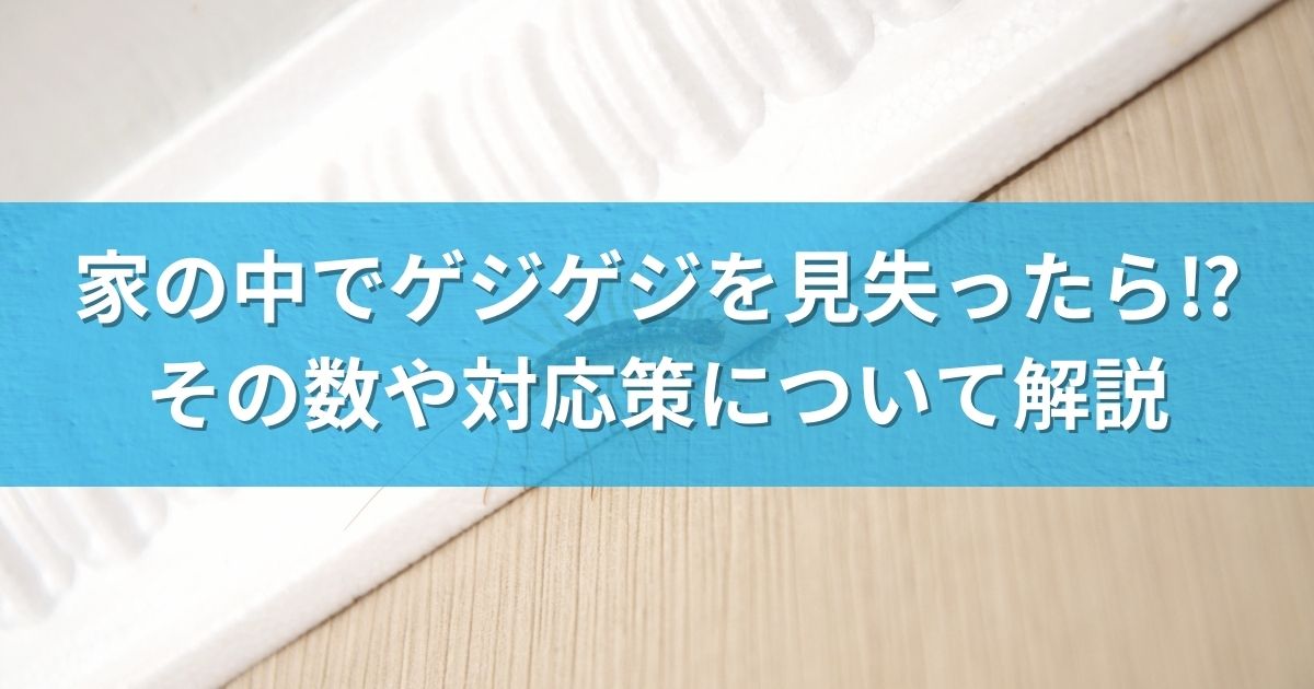 家の中でゲジゲジを見失ったら⁉その数や対応策について解説