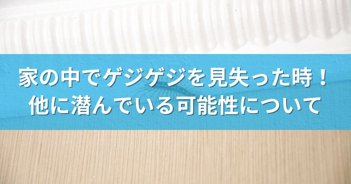 家の中でゲジゲジを見失った時！他に潜んでいる可能性について