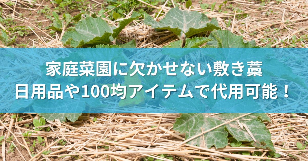 家庭菜園に欠かせない敷き藁：日用品や100均アイテムで代用可能！