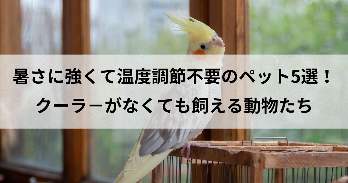 暑さに強くて温度調節不要のペット5選！クーラ－がなくても飼える動物たち