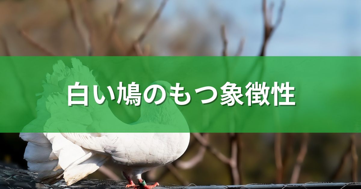 白い鳩のもつ象徴性