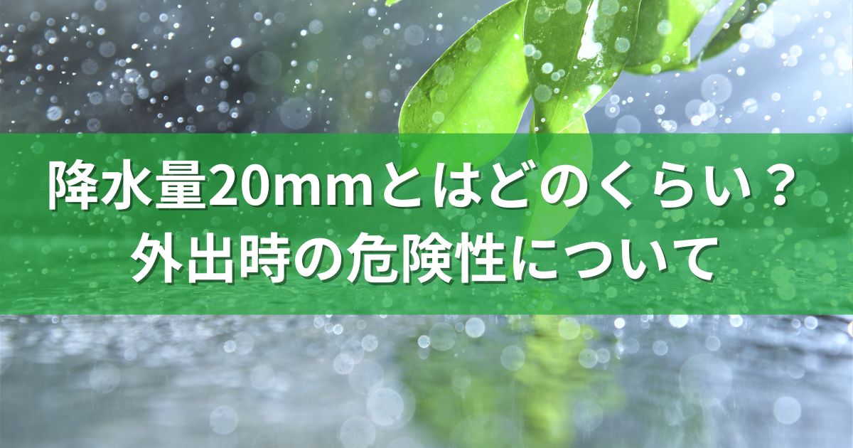 降水量20mmとはどのくらい？外出時の危険性について