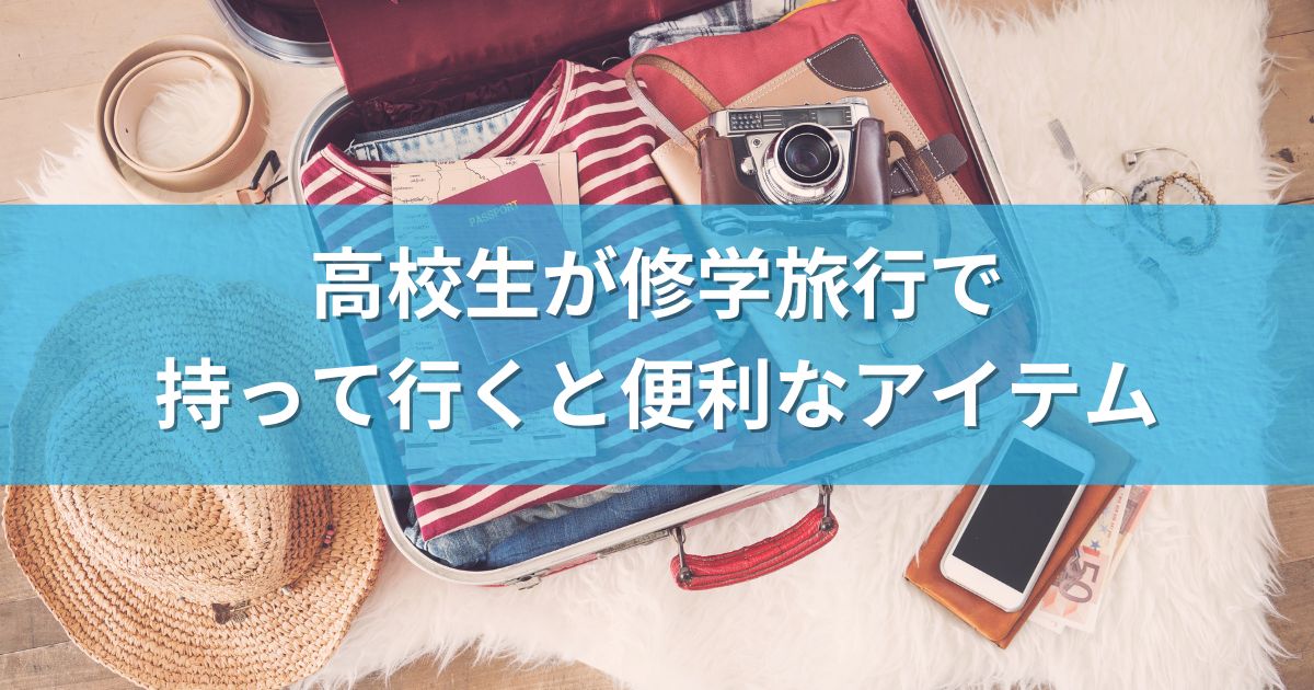 高校生が修学旅行で持って行くと便利なアイテム