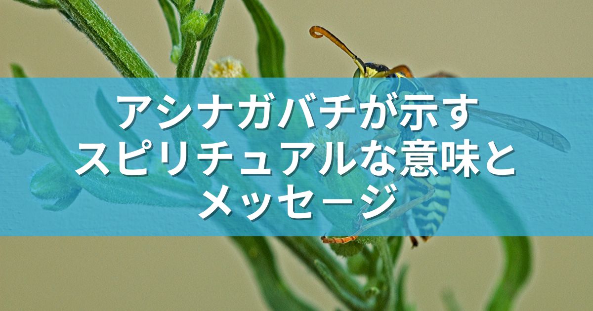 アシナガバチが示すスピリチュアルな意味とメッセ－ジ