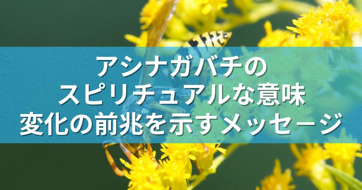 アシナガバチのスピリチュアルな意味：変化の前兆を示すメッセ－ジ