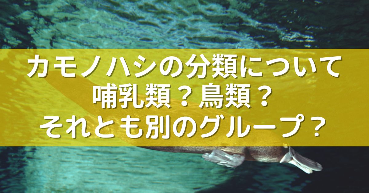 カモノハシの分類について：哺乳類？鳥類？それとも別のグループ？