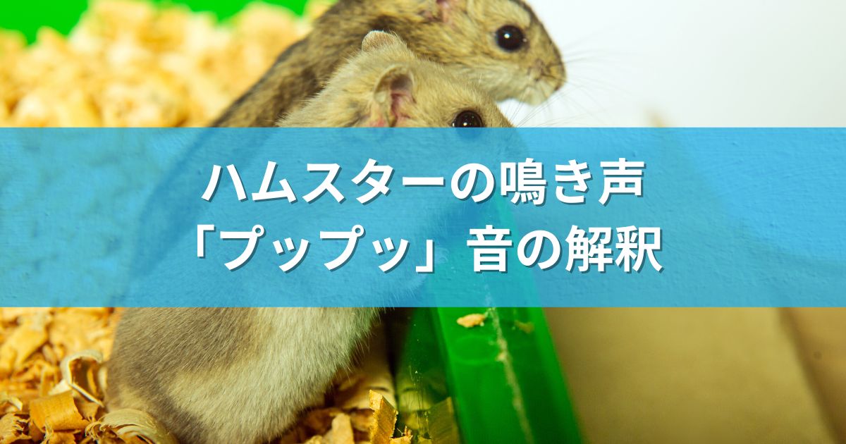 ハムスターの鳴き声「プップッ」音の解釈