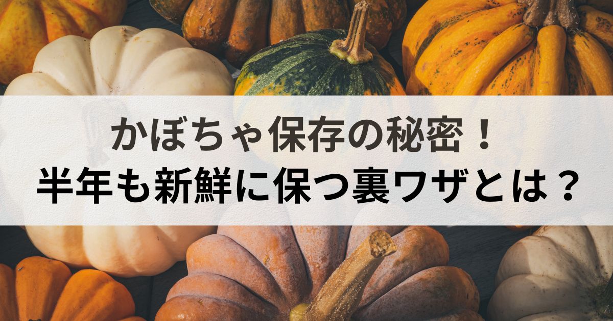 かぼちゃ保存の秘密！半年も新鮮に保つ裏ワザとは？