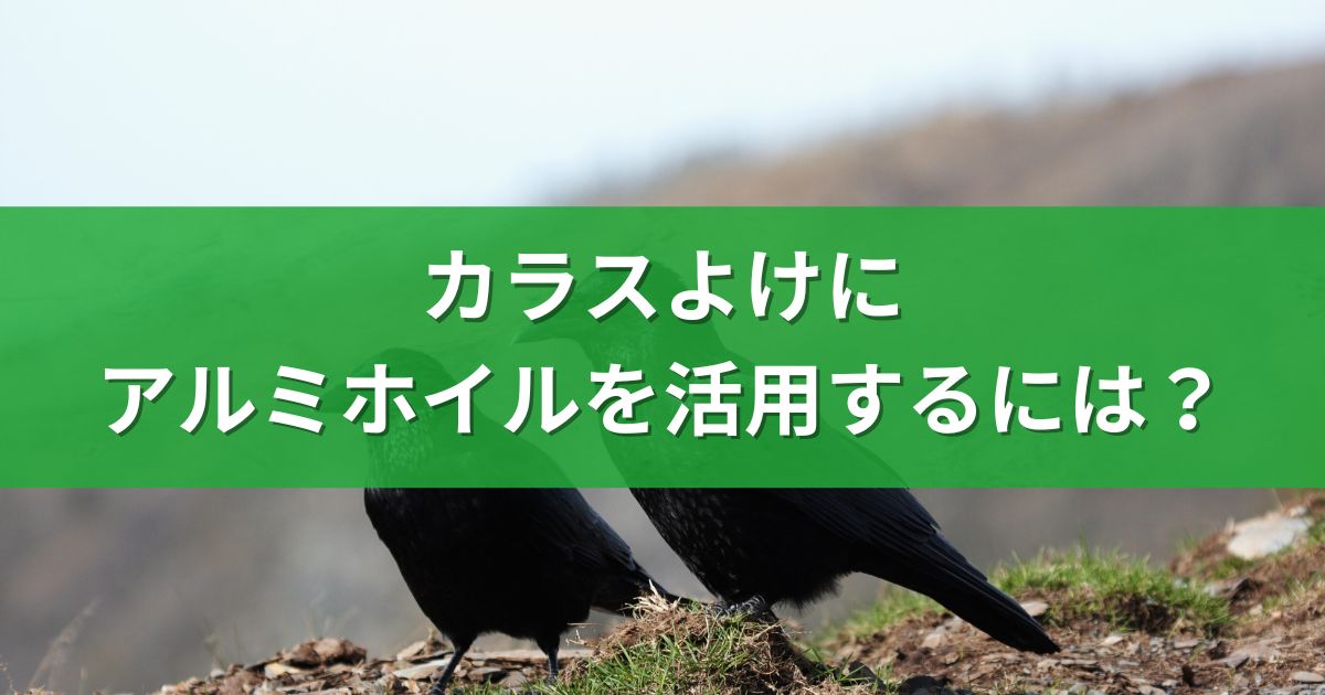 カラスよけにアルミホイルを活用するには？