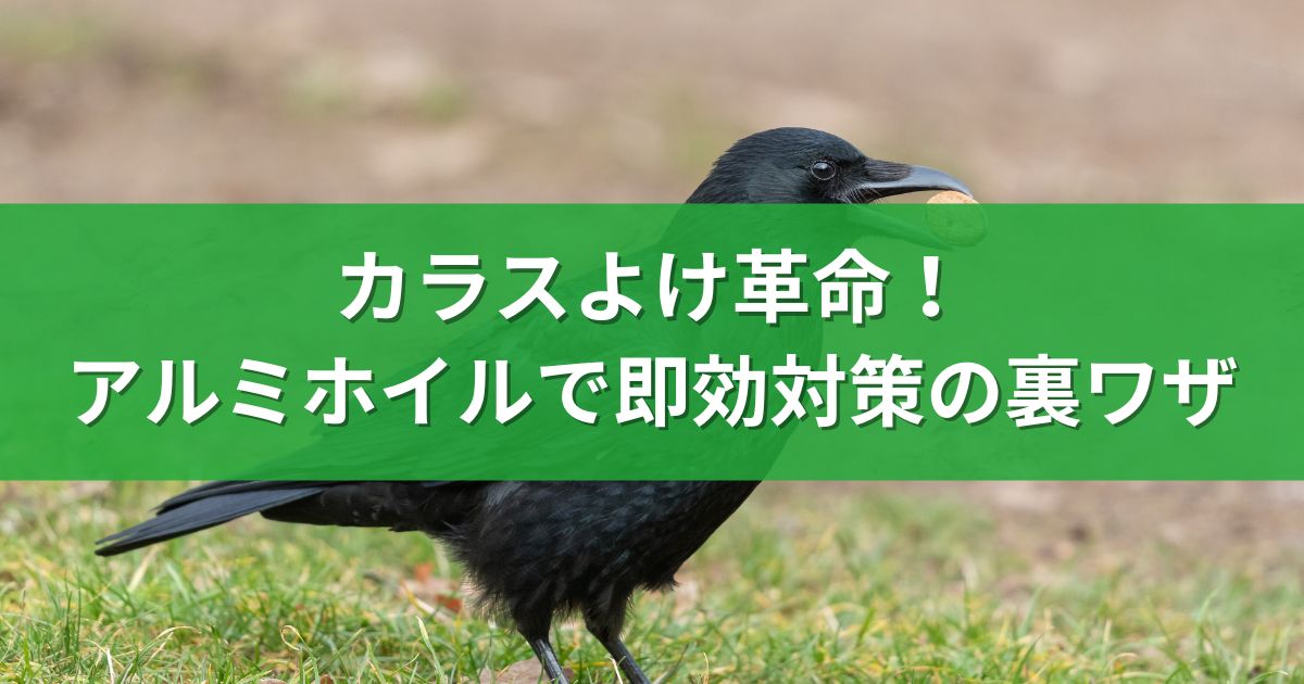 カラスよけ革命！アルミホイルで即効対策の裏ワザ